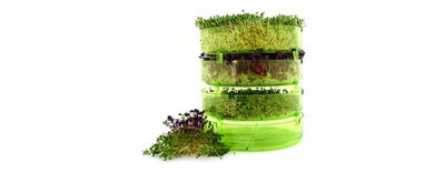 Germoir à étages GEO Plus en plastique vert avec trois niveaux remplis de graines germées de différentes variétés.