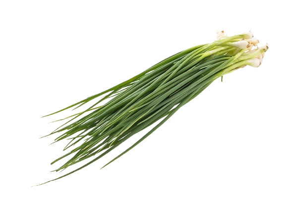 spring-onion-isolated-white-background-removebg-preview