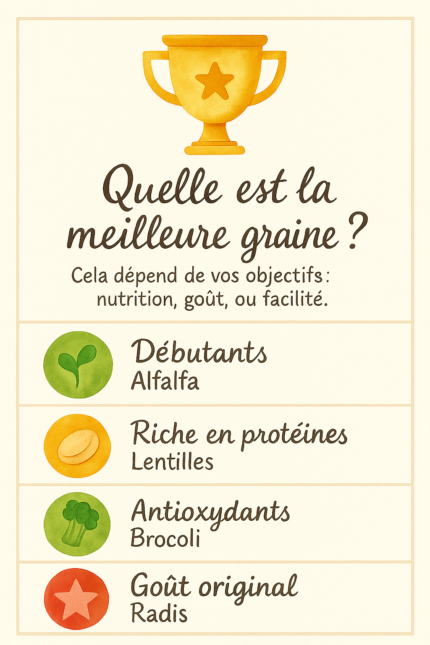 Infographie sur fond beige encadrée, avec en haut un trophée doré sous le titre « Quelle est la meilleure graine ? ». Quatre lignes segmentées présentent chacune une icÎne colorée et un objectif : une feuille verte pour « Débutants : Alfalfa », un biceps stylisé orangé pour « Riche en protéines : Lentilles », une molécule verte pour « Antioxydants : Brocoli » et une étoile rouge pour « Goût original : Radis ».